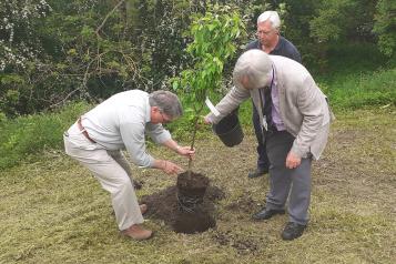 Volunteers planting tree